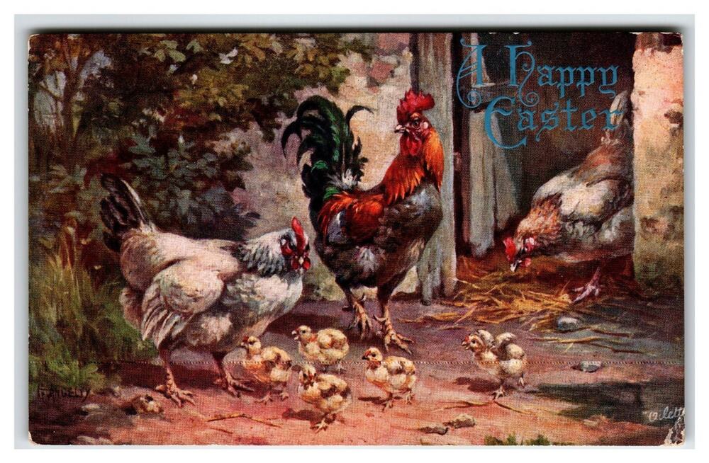 1909 Easter Oilette Postcard - Raphael Tuck Poultry Yard Rooster Hens Chicks